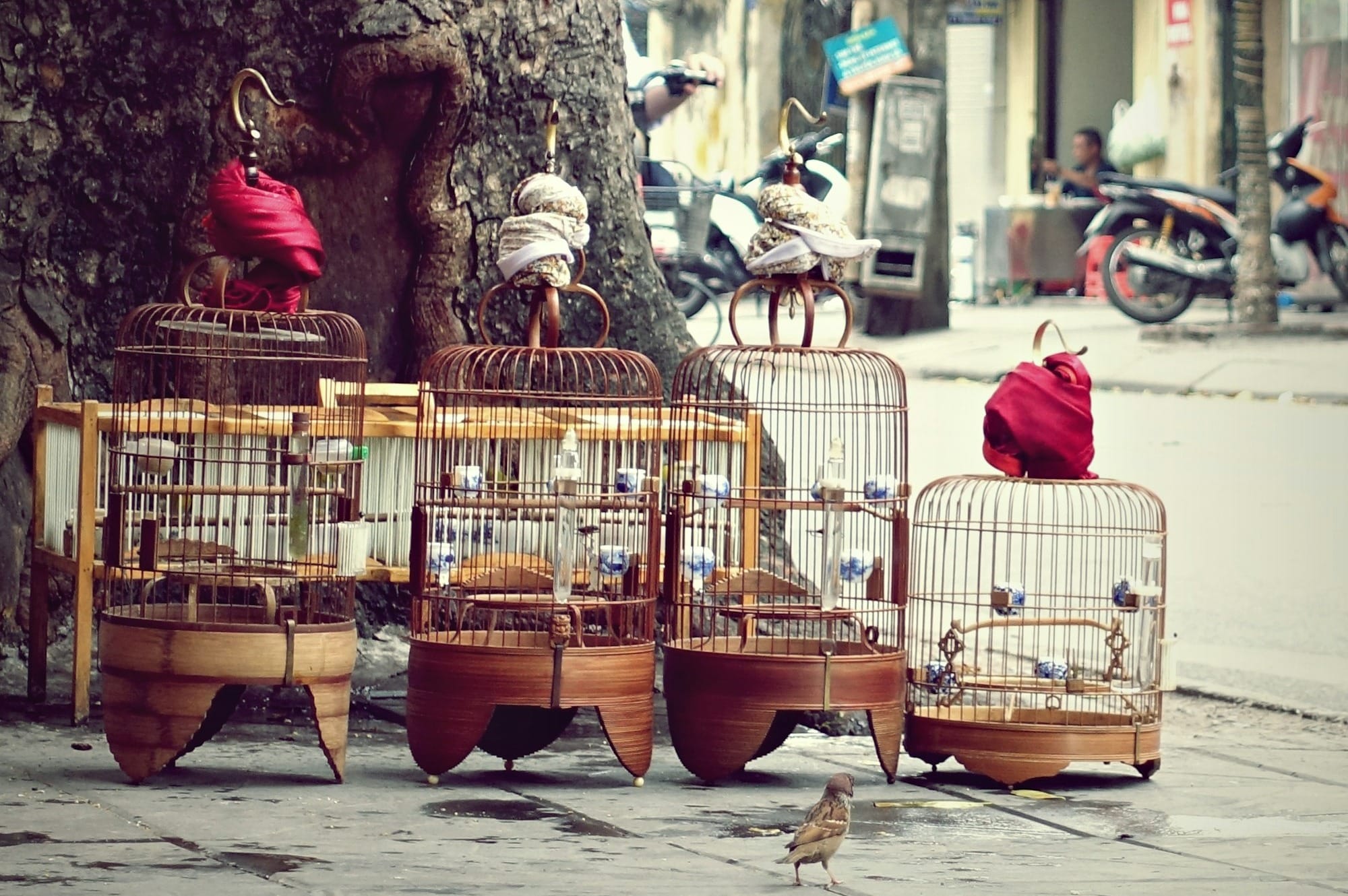 Phantom Power News | October