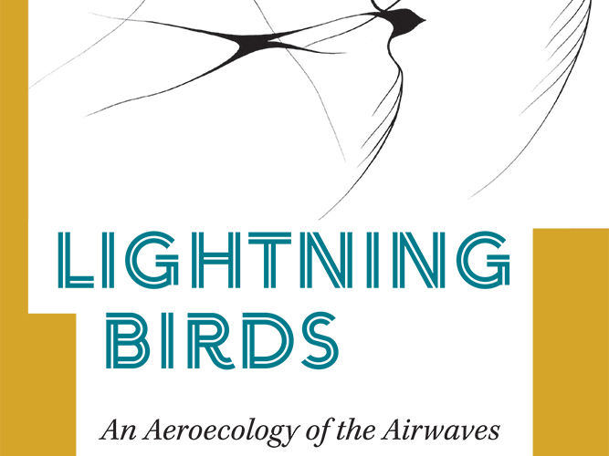 Exploring the Avian Aerosphere: Bird Migration, Radio, and Eco-Sonic Storytelling w/ Jacob Smith